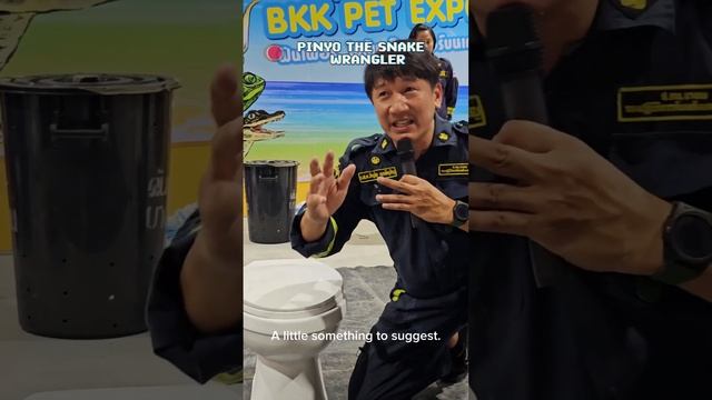 ดูดีๆนะ ??#งูเหลือม #งูในส้วม #จับงู #งู #ภิญโญคนจับงู #มือปราบอสรพิษ #snake #animal #python смотреть онлайн