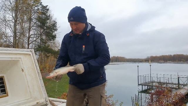 Запускаем судака 2020. ? Отличная рыбалка - Клуб Ихтиолог смотреть онлайн