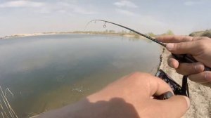 Мормышинг. Ловля плотвы на спиннинг. Первый положительный опыт.