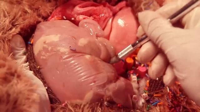 Teddy Has An Operation смотреть онлайн