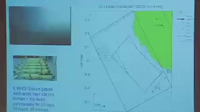 Naomi Leonard: Flocks and Fleets: Collective Motion in Nature and Robotics смотреть онлайн