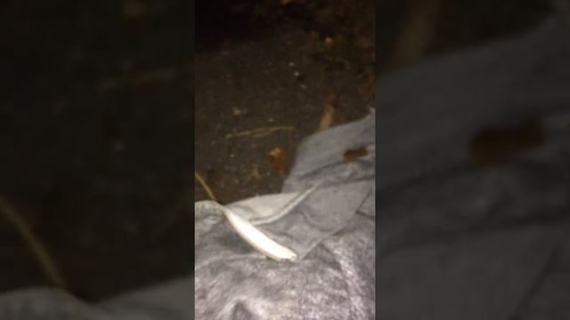 JUMPER U SO CLUMSY смотреть онлайн