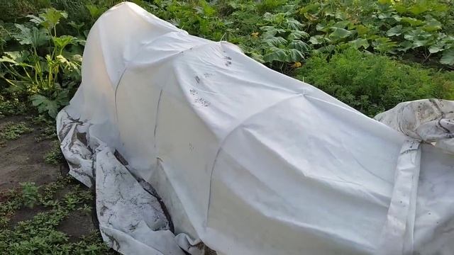 Переезд из Сибири на Юг. Обзор спальни и кабинета. Убираем кафель. Прогулка по огороду. смотреть онлайн