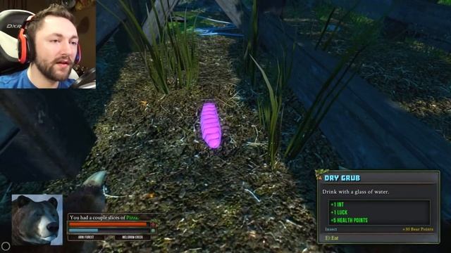 PIZZA & SHROOMS! | Bear Simulator #1 смотреть онлайн