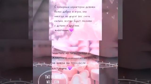 Кого выбрать хорька мальчика или девочку?? смотреть онлайн