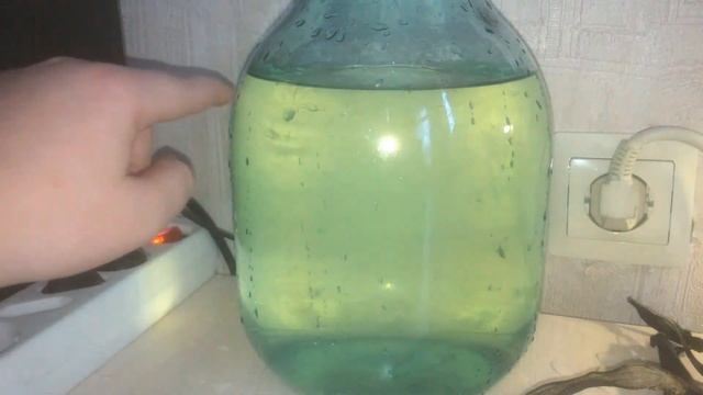 Как разводить инфузорию туфельку! Стартовый корм для мальков смотреть онлайн