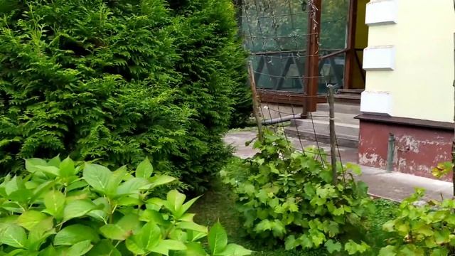 Влог /Срок посадки чеснока по народным приметам/обзор дачи Галины Петровны смотреть онлайн