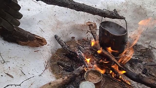 чаек на охоте смотреть онлайн