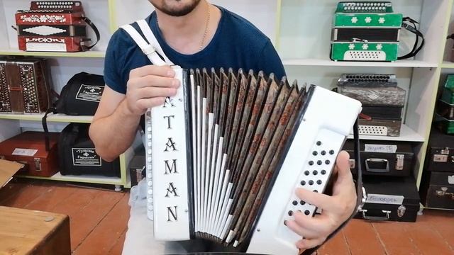 Ленинград Красный москвич разбор на гармони смотреть онлайн