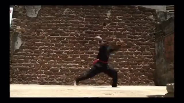 Binh Dinh Kung Fu Traditional Part 1 смотреть онлайн