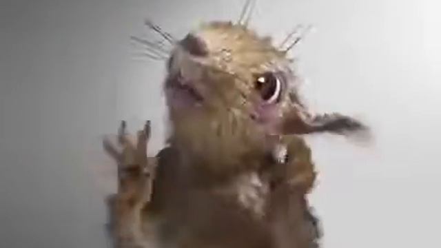 Адская белка смотреть онлайн