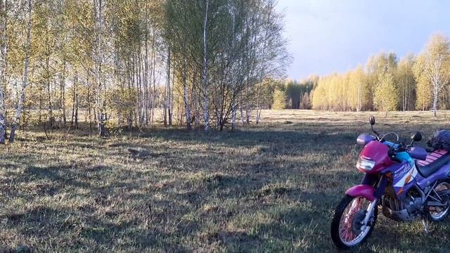 Весеннее вечернее солнечное поле. Kawasaki KLE 250. смотреть онлайн