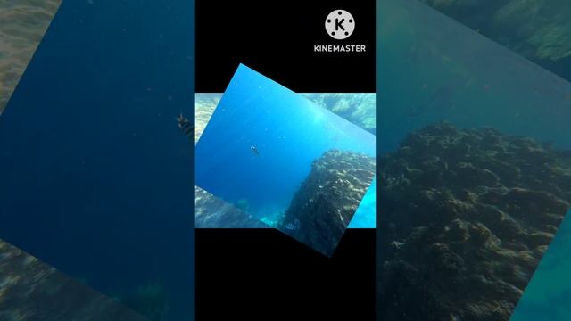 Египет 2022, Синайский полуостров, Шарм-эш-Шейх. Красное море ?Отдых, кайф, отрыв... La Isla Bonita смотреть онлайн