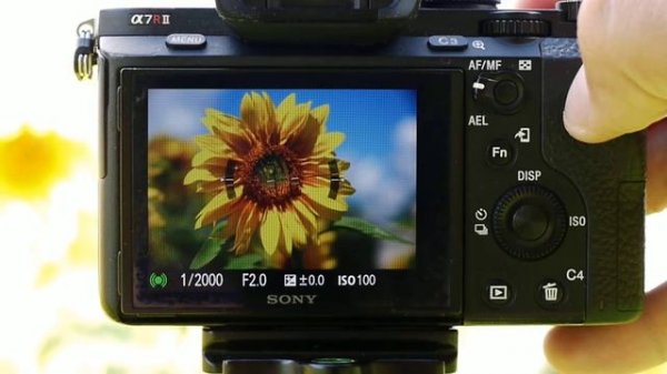 Techart LM-EA7: автофокусировка в режиме AF-C