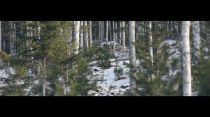 ПОЛЮС-ЛОГИСТИКА. САНАТОРНО-КУРОРТНЫЙ КОМПЛЕКС "ЕРУДА"