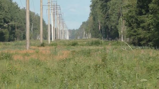 Свиношное озеро, нарезка с покатушки | Панк-рок фестиваль смотреть онлайн