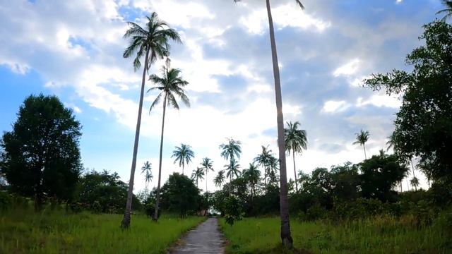 Uncovering Hidden Gems on Koh Rong Island in Cambodia смотреть онлайн