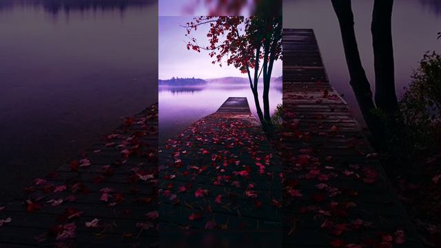 Сура Аль -Вакиа#чтение Корана Билал Дарбали смотреть онлайн