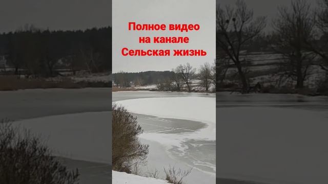 Витамины для коз #сельскаяжизнь смотреть онлайн