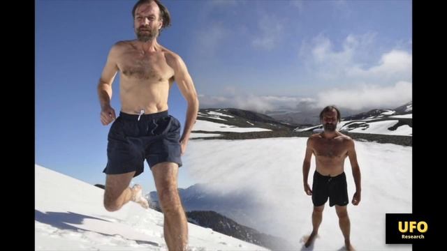 ?  The Reptilian Theory