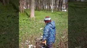 Салют из долларов! )))