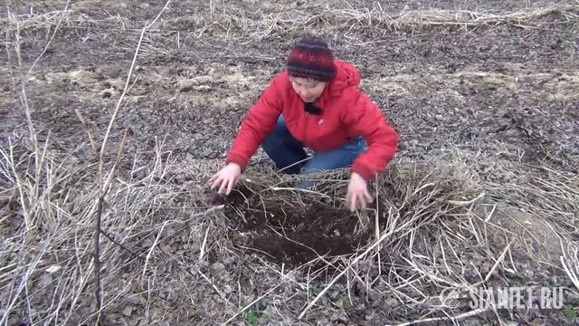 Как я сделала почву плодородной. Часть 3.