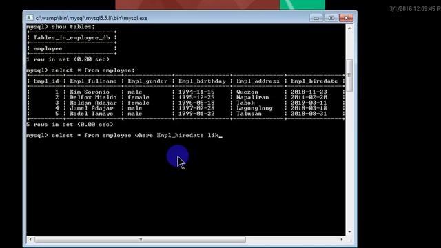 SRCB BSIT DBMS2: SQL LIKE смотреть онлайн