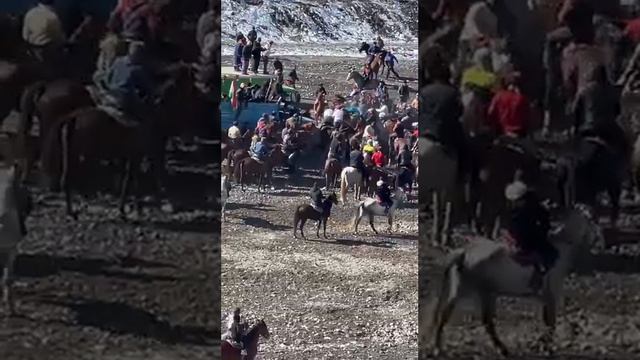 бузкаши деваштич басманда б саидназир бо аспи хамер 12 02 23 🇹🇯🇺🇿🇰🇬🇰🇿👍 смотреть онлайн