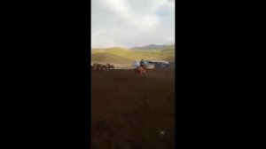 Объездка Лошадей в Разных Вариантах.