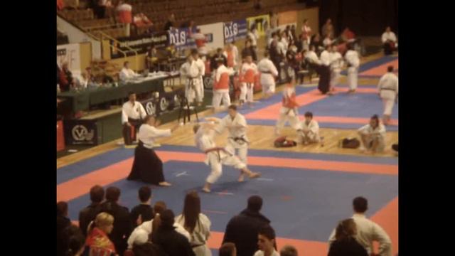 Karate World Fudokan Championship/ Lose by ippon смотреть онлайн