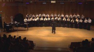 Литовская н.п. в обр. В.Венцкуса «Ой, ты мой дубочек», женский хор «Академия»