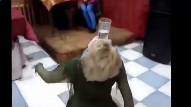 Лучшие приколы на свадьбах !!!смех драки пьяные !!! Подборка 2015 смотреть онлайн