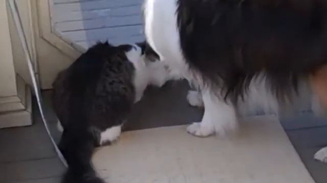 Eva & Hobbs смотреть онлайн