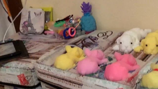 Разговорное видео? НОВЫЕ СКВИШИ СОБАЧКИ, Новости ? смотреть онлайн