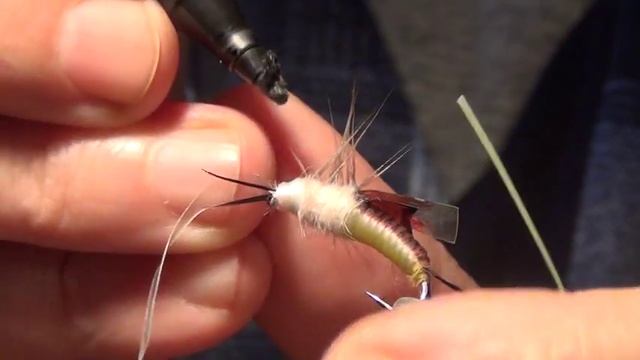 ,,ВЕСНЯНКА ,,  Maxi  2  SVA