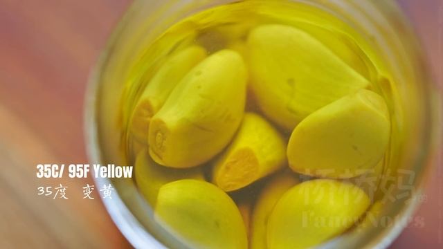 腊八蒜 “腊月翡翠”的解密 Laba Garlic