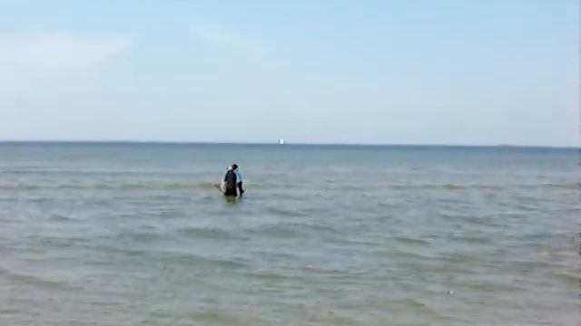 Золотоискатель на пляже Пирита. Таллин. смотреть онлайн