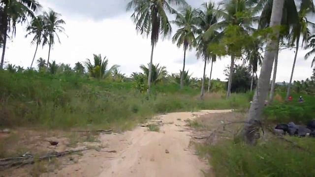 Квадроциклы Паттайя смотреть онлайн