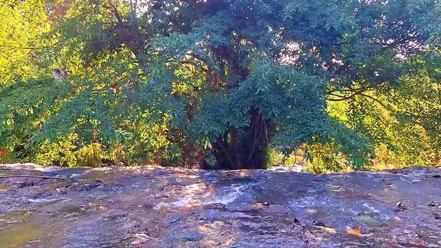 Лесная река. Шум воды. Пение птиц. Медитация. Релакс 2 часа смотреть онлайн