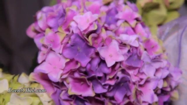 Организация праздников в Харькове Event Oksi