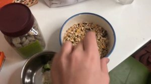 /Вечер с крысками?/ Чем кормить крыс?/ Рацион моих крыс/