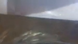 распаковка самогонный аппарат компакт