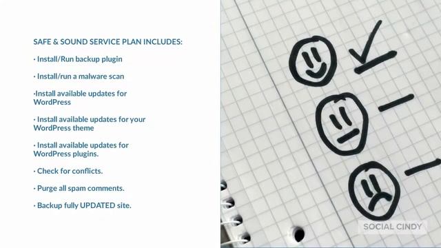 Introducing SAFE SOUND SERVICE PLAN for WordPress смотреть онлайн