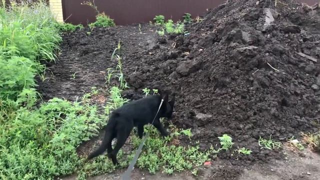 26.05.2021 Краснодар смотреть онлайн