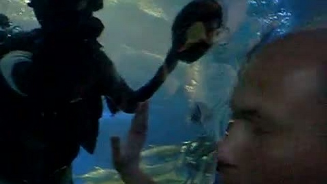 Океанариум в Паттае