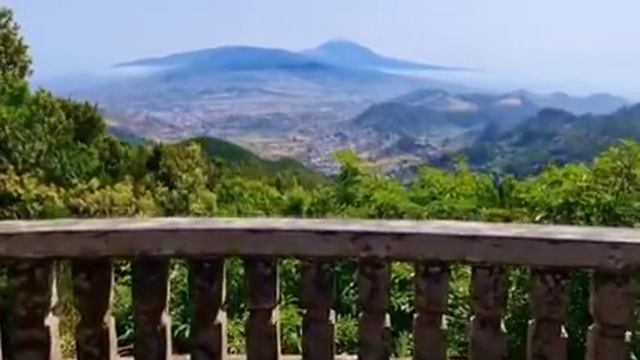 С цепи сорвалась смотреть онлайн