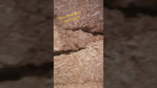 Засыпной дом. Утепление опилками. Что произошло с опилками пять лет спустя? смотреть онлайн