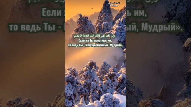 Чтение Корана Сура Фатиха, Сура Аль Ма'ида. سورة الفاتحة) ، (سورة المائدة )) смотреть онлайн