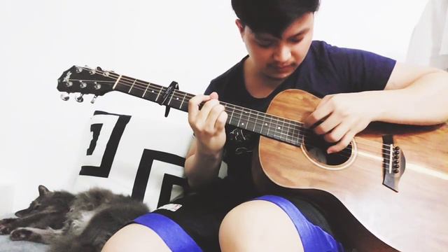 Pure Imagination - Gene Wilder | Fingerstyle Guitar Cover + Lyrics смотреть онлайн