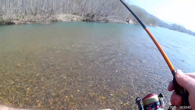 Ловлю микро пеструшку на р.Амба. смотреть онлайн